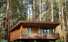 One&Only Gorilla'S Nest